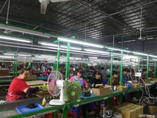 从个人护理电器看大学生进厂 是“丢面子”还是“拓视野”？