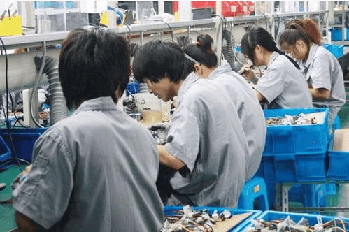 从电子厂到个人护理电器 农村青年就业选择背后的生存智慧